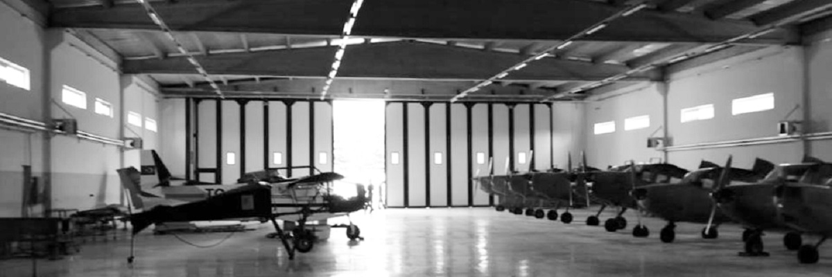 Folding Hangar Door